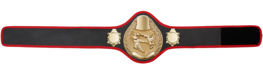 BOXING CHAMPIONSHIP BELT-PRO301/G/BOXG- 10 + COLOURS BOXING CHAMPIONSHIP BELT-PRO301/G/BOXG- 10 + COLOURS